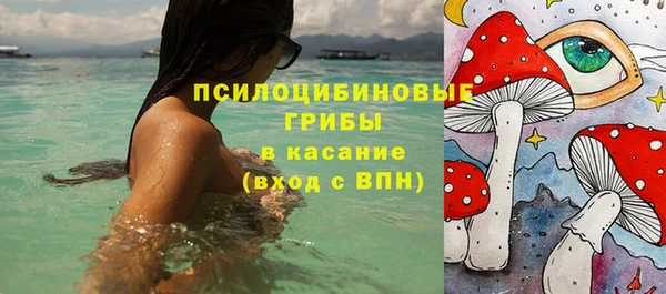 твердый Нягань