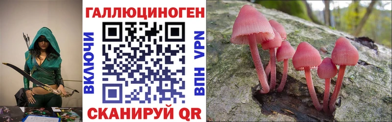 как найти Нахабино Псилоцибиновые грибы Psilocybe